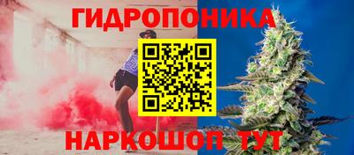 первитин Гусев