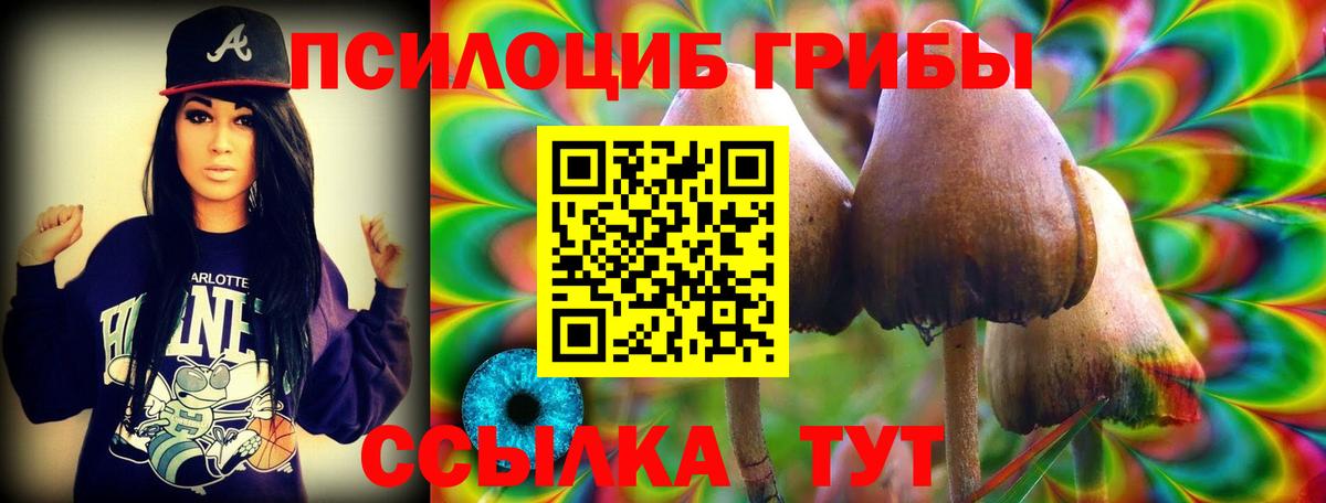 Псилоцибиновые грибы GOLDEN TEACHER Нижнекамск